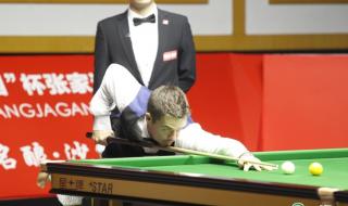 2013世界斯诺克决赛